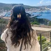 ayseszng23