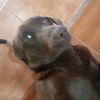 mate0_023