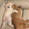 peteryang_1002