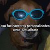chimbadvida2