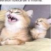 pepito19721