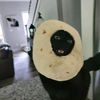 layla.e875