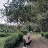 rullcncii
