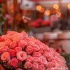 __malak91