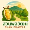 phairat_amloy