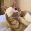 leoking_26