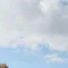 marekmkmarkmarek