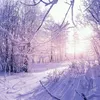 tanya_xomm83