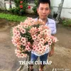 thinh_cui_bap