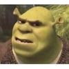 notyourshrek