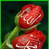 khanturk7