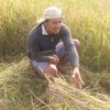 ngakanpadma