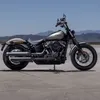 street_bob_2020