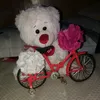 nisha101625