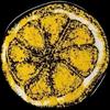 man_utd_stoneroses