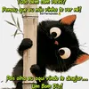 mama.bonita123