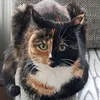 flauschi70