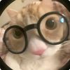 aivil_yx