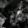 _spilll19