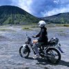 alldoo_00