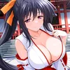 ronin_himejim