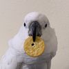 sebastian_birdyo
