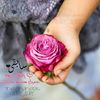 hanna_al_seabe0