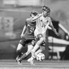 willdavison.7