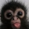 itsz.alina