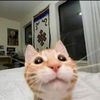 trevor.naylor7