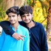 madni3011