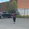 thedumbestmonkey