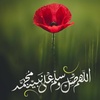 amfahad5965