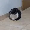 valen_nubsello5
