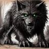 DarkWolf