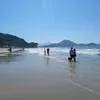 giovana_franchi