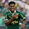 rafhael10_