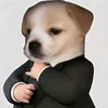 accquyblf