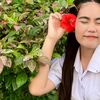 p_ornnapa08
