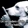 user093415433