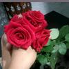 fatima_imran3