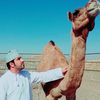 ssalfarsi
