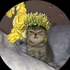 meochico2