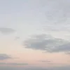 marciai.silvania