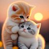 putri_balkis5210