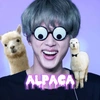 alpacakyoushinja