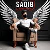 saqibkashmiri7867