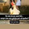 mariahelena52727
