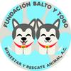 fundacionbaltoytogo