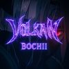 v_bochii